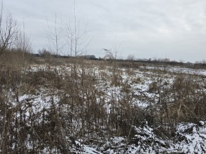 Хінчанка (г. Житомир, Королевский район) - Продається ділянка під забудову, 9000 $ - АФНУ