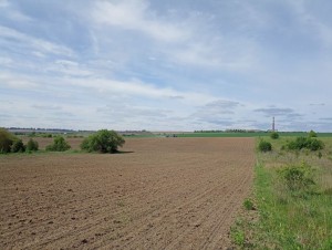 ул. Східна (с. Лесовые Гриновцы, Хмельницкий район) - Продається сільськогосподарська ділянка, 7380 $ - АФНУ
