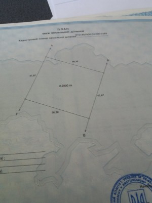 Небіжка (с. Озерцо, Киверцовский район) - Продається сільськогосподарська ділянка, 70000 $ - АФНУ