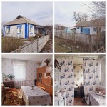 Підгайя (с. Великополовецкое, Сквирский район) - Продається будинок, 25000 $ - АФНУ