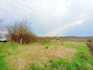 СТ  Мрія, 432 (г. Хмельницкий, Ружична) - Продається сільськогосподарська ділянка, 4000 $ - АФНУ