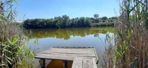 пл. Польова (с. Ставы, Кагарлыкский район) - Продається ділянка під забудову, 17000 $ - АФНУ