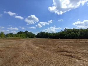 М12 (с. Червоная Зирка, Хмельницкий район) - Продається сільськогосподарська ділянка, 40000 $ - АФНУ