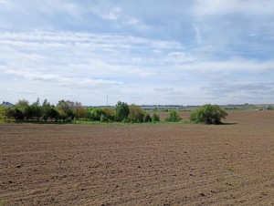 ул. Східна (с. Лесовые Гриновцы, Хмельницкий район) - Продається сільськогосподарська ділянка, 5520 $ - АФНУ