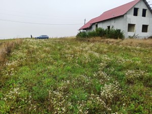 Стрийська (г. Тернополь) - Продається сільськогосподарська ділянка, 19500 $ - АФНУ