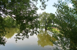 Провулок Польовий (с. Крушинка, Васильковский район) - Продається ділянка під забудову, 12900 $ - АФНУ