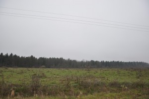 Старі Богородчани (с. Старые Богородчаны, Богородчанский район) - Продається сільськогосподарська ділянка, 4500 $ - АФНУ