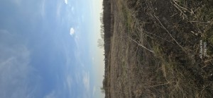 Містечко, 72 (с. Паволочка, Романовский район) - Продається будинок, 11000 $ - АФНУ