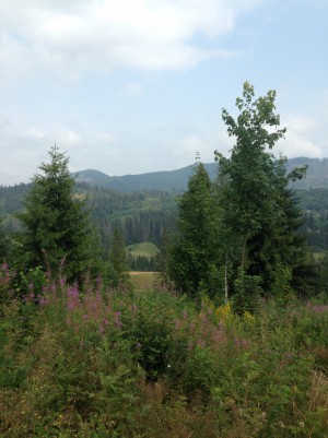 ул. Довбуша, 1 (пгт. Славское, Сколевский район) - Продається ділянка під забудову, 35000 $ - АФНУ