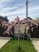 ул. Генерала Арабея, 34 (г. Винница, Ленинский район) - Продається будинок, 310000 $ - АФНУ