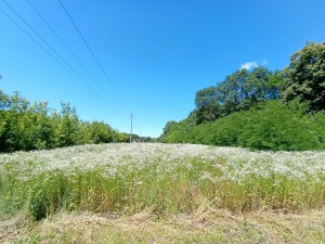 ул. Будівельна, 2а (г. Хмельницкий, Олешин) - Продається ділянка під забудову, 18000 $ - АФНУ