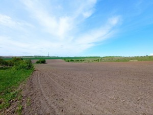 ул. Східна (с. Лесовые Гриновцы, Хмельницкий район) - Продається сільськогосподарська ділянка, 6000 $ - АФНУ