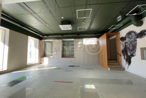 пр. Університетський (г. Кривой Рог, Саксаганский район) - Здається торгівельний майданчик, 350 грн. за кв.м. - АФНУ