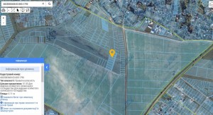 Кацемирова дорога (с. Лесовые Гриновцы, Хмельницкий район) - Продається сільськогосподарська ділянка, 7700 $ - АФНУ