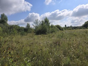 Авіатік (г. Житомир, Королевский район) - Продається ділянка під забудову, 5500 $ - АФНУ