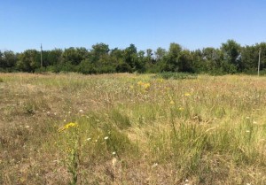 ул. Радужная (с. Циркуны, Харьковский район) - Продається ділянка під забудову, 11500 $ - АФНУ