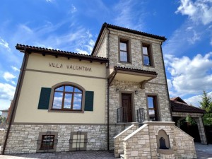 ул. Садовая, 16 (г. Киев, Дарницкий район) - Продається будинок, 200000 $ - АФНУ