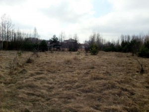 ул. Нова (с. Садки, Житомирский район) - Продається ділянка під забудову, 5500 $ - АФНУ