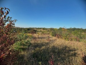 СТ Дружба (с. Малашовцы, Хмельницкий район) - Продається сільськогосподарська ділянка, 3600 $ - АФНУ