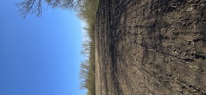 Водопійна (пгт. Ставище, Ставищенский район, с.Богатирка) - Продається сільськогосподарська ділянка, 1000 $ за сотку - АФНУ