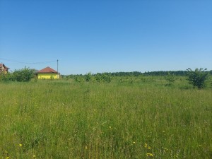 ул. Нова (с. Барашовка, Житомирский район) - Продається ділянка під забудову, 6000 $ - АФНУ