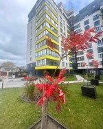 Енергетична, 5а (г. Тернополь) - Продається квартира, 155000 $ - АФНУ