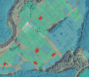 ул. Нова (с. Дениши, Житомирский район) - Продається ділянка під забудову, 2700 $ - АФНУ