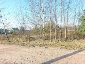 Ожоженко (с. Пряжов, Житомирский район) - Продається ділянка під забудову, 11000 $ - АФНУ