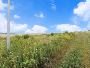 Ковальська (г. Хмельницкий) - Продається сільськогосподарська ділянка, 15200 $ - АФНУ