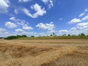 М12 (с. Червоная Зирка, Хмельницкий район) - Продається сільськогосподарська ділянка, 40000 $ - АФНУ