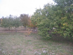 пер. Красина (пгт. Высокий, Харьковский район) - Продається будинок, 20000 $ - АФНУ