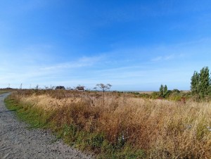 масив Царський (г. Хмельницкий) - Продається ділянка під забудову, 8000 $ - АФНУ