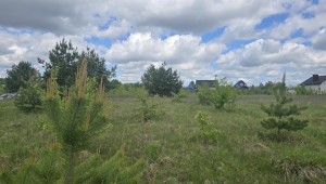 Вишпільська (с. Олеевка, Житомирский район) - Продається ділянка під забудову, 8300 $ - АФНУ