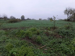 Квіткова, 25 (с. Копыстин, Хмельницкий район) - Продається ділянка під забудову, 5000 $ - АФНУ