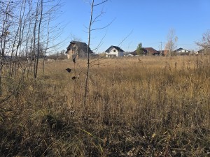 хінчанка (г. Житомир, Королевский район) - Продається ділянка під забудову, 8000 $ - АФНУ