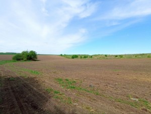 ул. Східна (с. Лесовые Гриновцы, Хмельницкий район) - Продається сільськогосподарська ділянка, 6000 $ - АФНУ