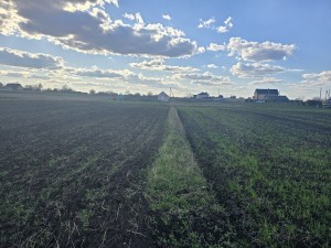 Погорєлова (с. Сингури, Житомирский район) - Продається ділянка під забудову, 3800 $ - АФНУ