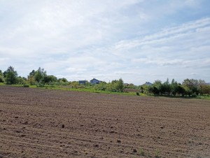 ул. Східна (с. Лесовые Гриновцы, Хмельницкий район) - Продається сільськогосподарська ділянка, 6060 $ - АФНУ