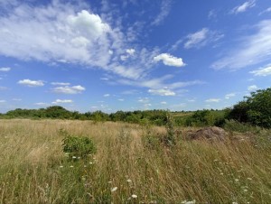 Гарнізонна (г. Хмельницкий) - Продається сільськогосподарська ділянка, 400 $ за сотку - АФНУ